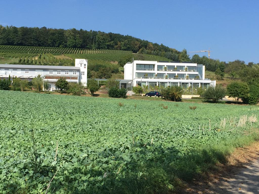 Готель Heitlinger Hof Tiefenbach  Екстер'єр фото